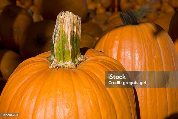 Pumpkins Foto de stock y más banco de imágenes de Agricultura - Agricultura, Calabacita, Calabaza gigante