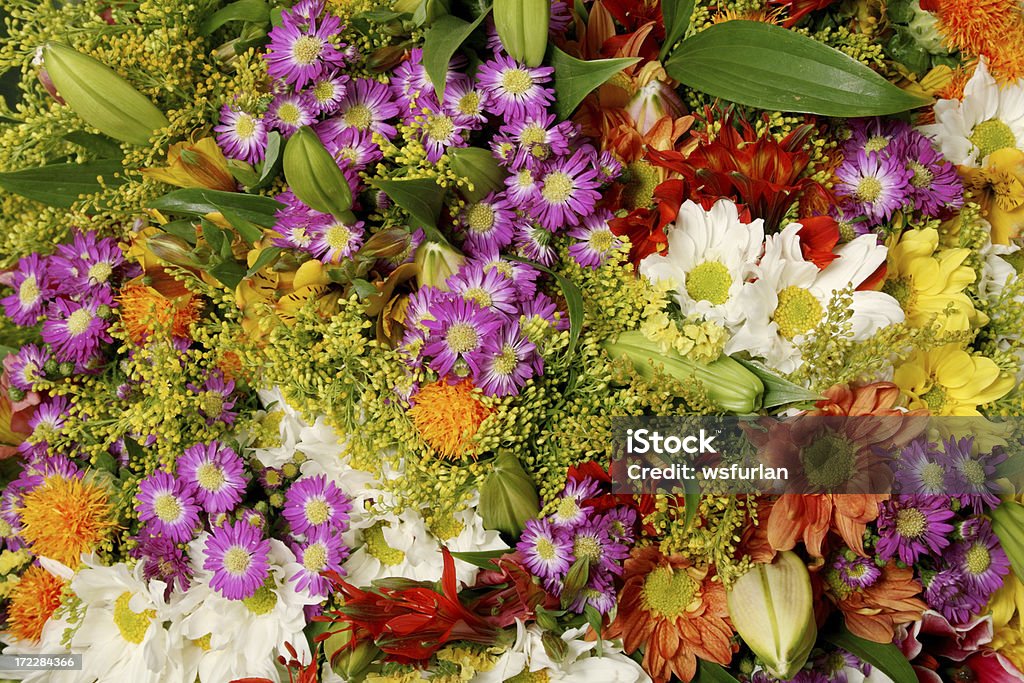 flores - Foto de stock de Amarillo - Color libre de derechos