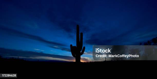 Panoramica Di Cactus - Fotografie stock e altre immagini di Affilato - Affilato, Ambientazione esterna, Apache Trail - Phoenix