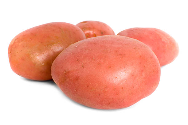 vier rote desiree kartoffeln - raw potato red potato desiree isolated stock-fotos und bilder