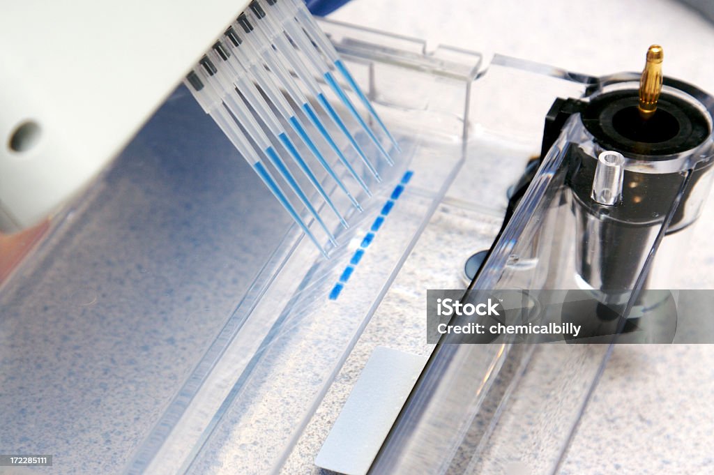 DNA-experiment - Lizenzfrei DNA-Sequenzierungsgel Stock-Foto