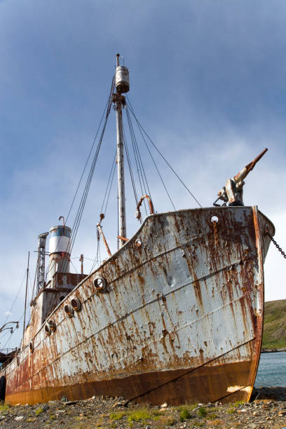 istock Stranded Old Whaling Ship Grytviken South Georgia 172285403