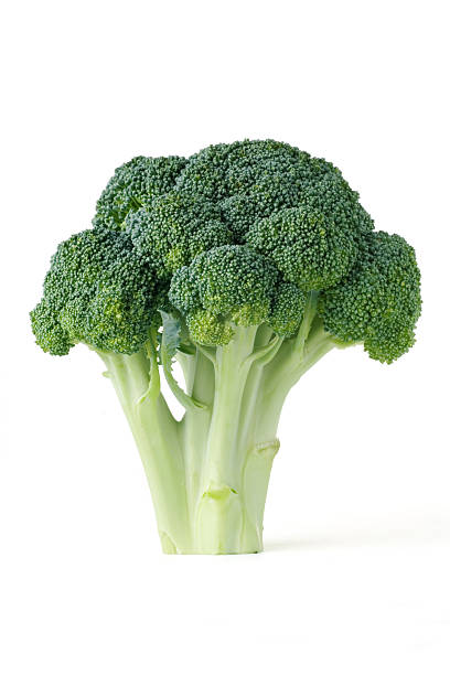 Single piece of broccoli on a white background A head of broccoli.  Isolated on white with clipping path. broccoli stock pictures, royalty-free photos & images