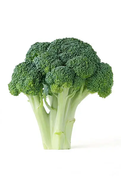 A head of broccoli.  Isolated on white with clipping path.