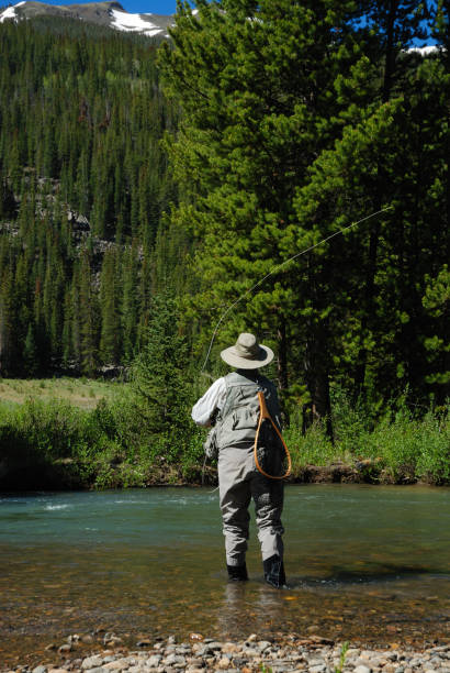 istock Woman Fly Fishing 10 172285467