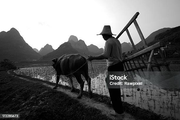 Das Landleben Stockfoto und mehr Bilder von Agrarbetrieb - Agrarbetrieb, Arbeiten, Asiatischer und Indischer Abstammung