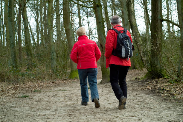 istock Two people walking in the wood seen on their backs 172285971