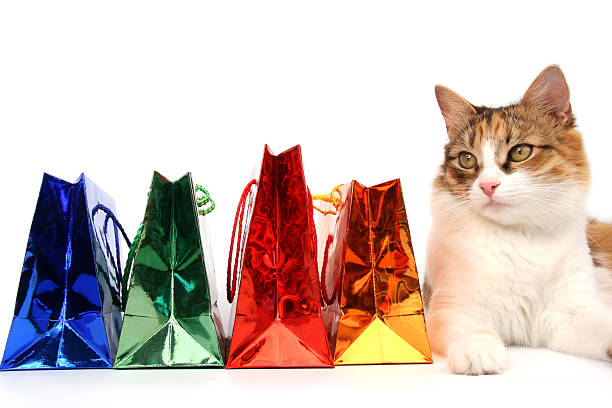 ご購入アイテム - domestic cat bag shopping gift ストックフォトと画像