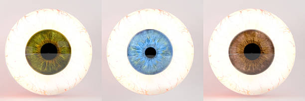 노말 eyeballs 3D 스톡 사진