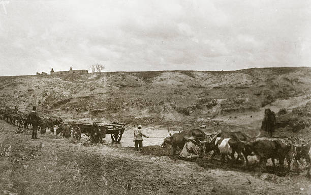 Army convey "Vintage photograph showing an army convoy of wagons fording a river, from the time of the Boer War." ford crossing stock pictures, royalty-free photos & images