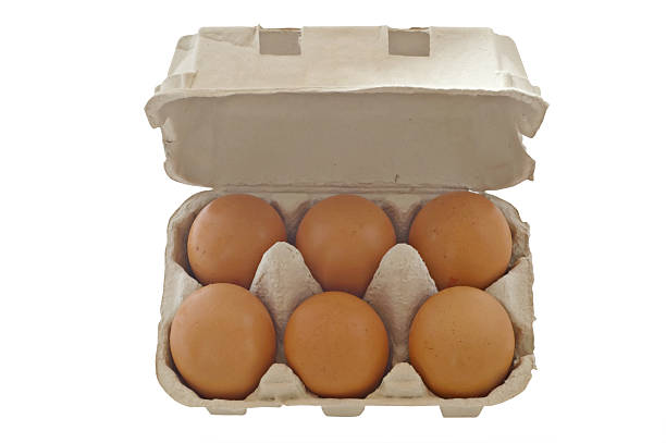 sechs eier im karton - cholesterol ellipse shell box stock-fotos und bilder