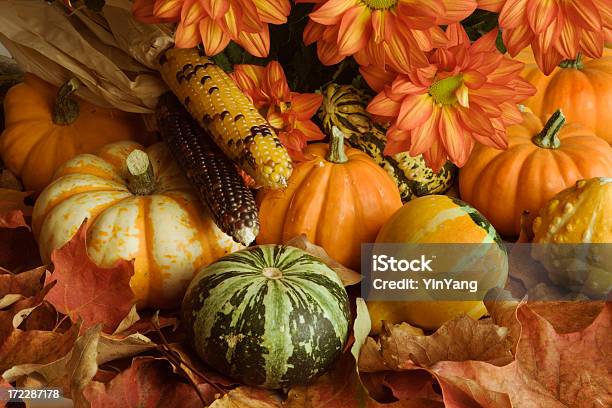 Cosecha De Otoño Hojas De Corte Disposición De Calabaza Crisantemo Maíz Squash Foto de stock y más banco de imágenes de Otoño