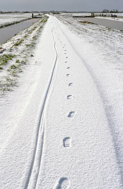 Tracks in a serene snowsceneMore images of same photographer in lightbox: