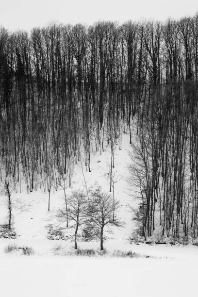istock Winter landscape, with trees and hill covered by snow 1722873360
