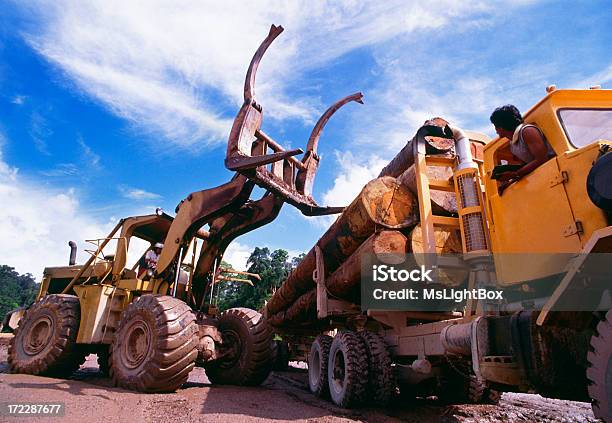 Deforestration - Fotografias de stock e mais imagens de Indústria Madeireira - Indústria Madeireira, Equipamento, Machinery