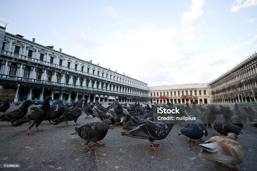 Praça de São Marcos - Royalty-free Amanhecer Foto de stock