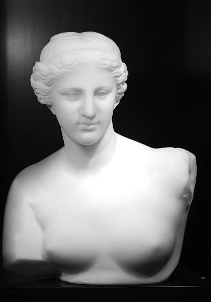 대리석 사본을 밀로의 비너스 - sculpture women fine art statue marble 뉴스 사진 이미지