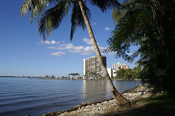 istock Relaxing Palm Tree and Condo Views 172288262