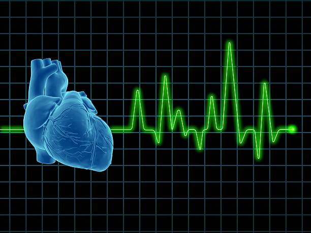 Image of a human heart with an Electrocardiogram in the back "Image of a electrocardiogram (ECG / EKG), with human heart on screen. Great to be used in medicine works and health." arterioles photos stock pictures, royalty-free photos & images