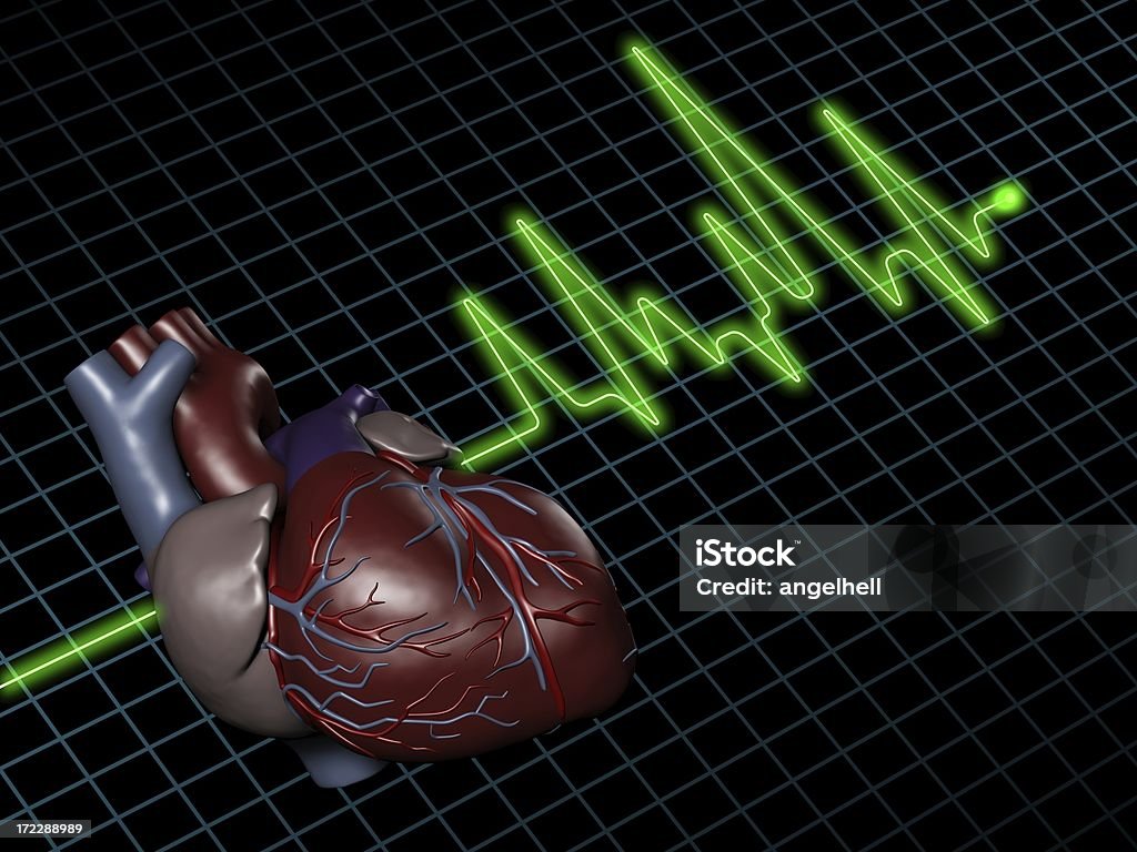 Electrocardiogram (ECG / EKG) with human heart on screen "Image of a electrocardiogram (ECG / EKG), with human heart on screen. Great to be used in medicine works and health." Analyzing Stock Photo