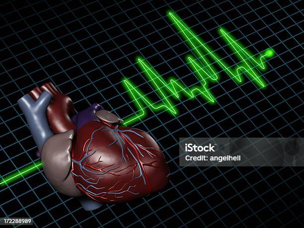 Electrocardiogram With Human Heart On Screen Stock Photo - Download Image Now