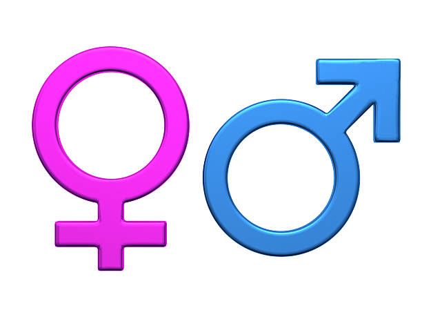 Colorized gender symbols in vector stock photo