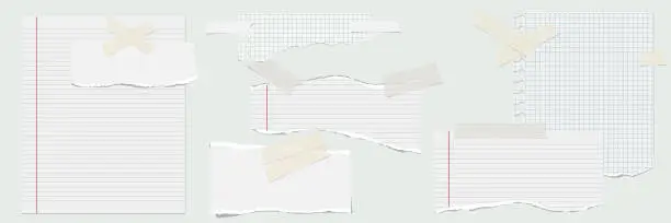 Vector illustration of White lined paper whole, torn pieces