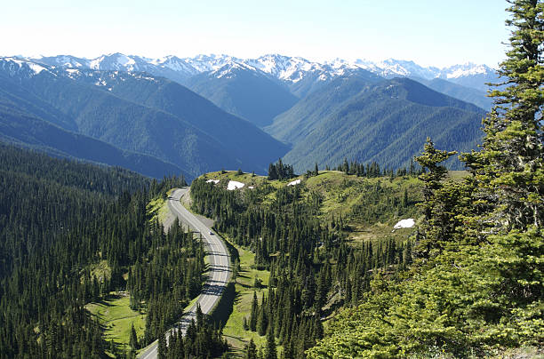 The Road to Hurricane Ridge stock photo