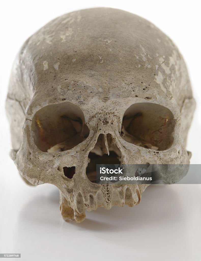 High resolution image of human Skull High resolution image of human Skull. Anatomy Stock Photo
