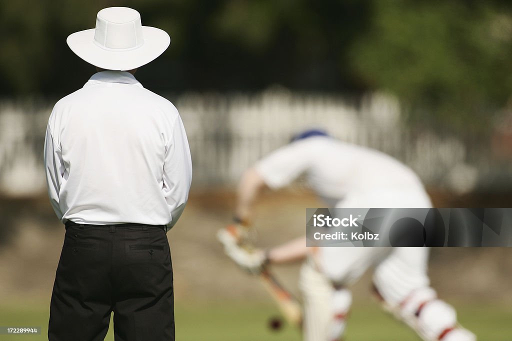 Arbitro di Cricket - Foto stock royalty-free di Arbitro