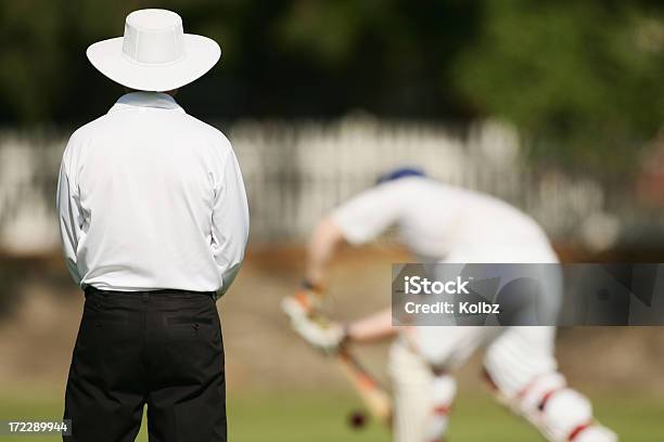 Arbitro Di Cricket - Fotografie stock e altre immagini di Arbitro - Arbitro, Cricket, Australia