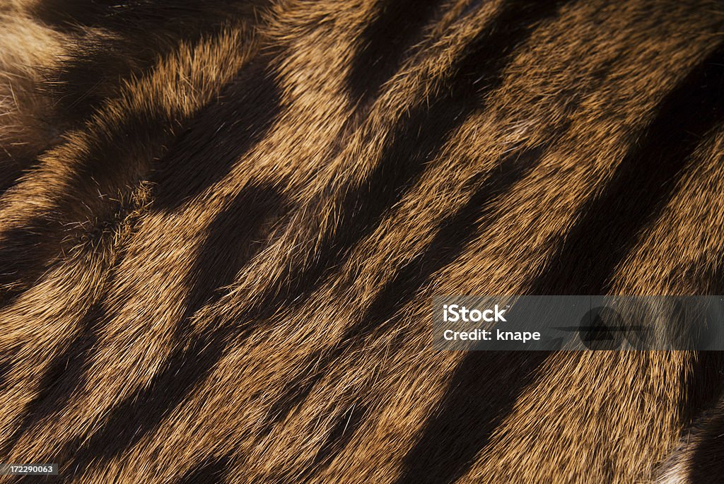 Pelliccia - Foto stock royalty-free di Stampa animale