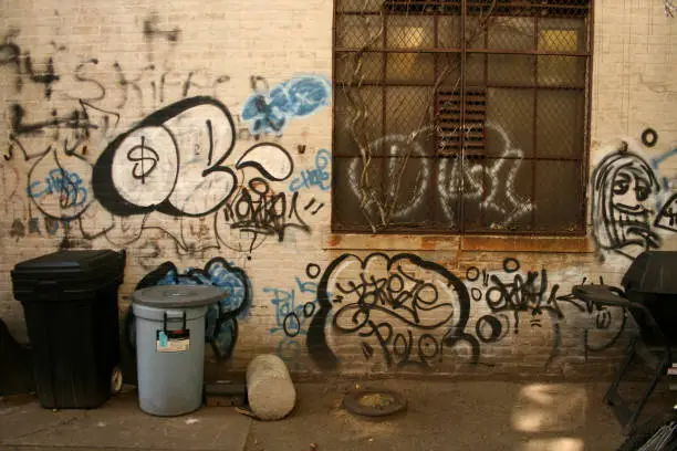 Photo of Out back area with graffiti and trash cans