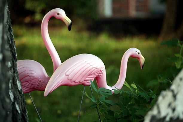 flamants roses - plastic flamingo photos et images de collection