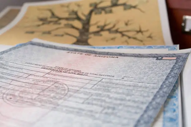 Birth Certificates and family tree