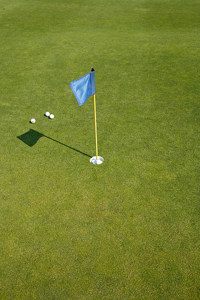 ゴルフコースのグリーン - putting green practicing putting flag ストックフォトと画像