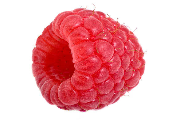 Raspberry Single Fresh raspberry (rubus idaeus) closeup. raspberry stock pictures, royalty-free photos & images