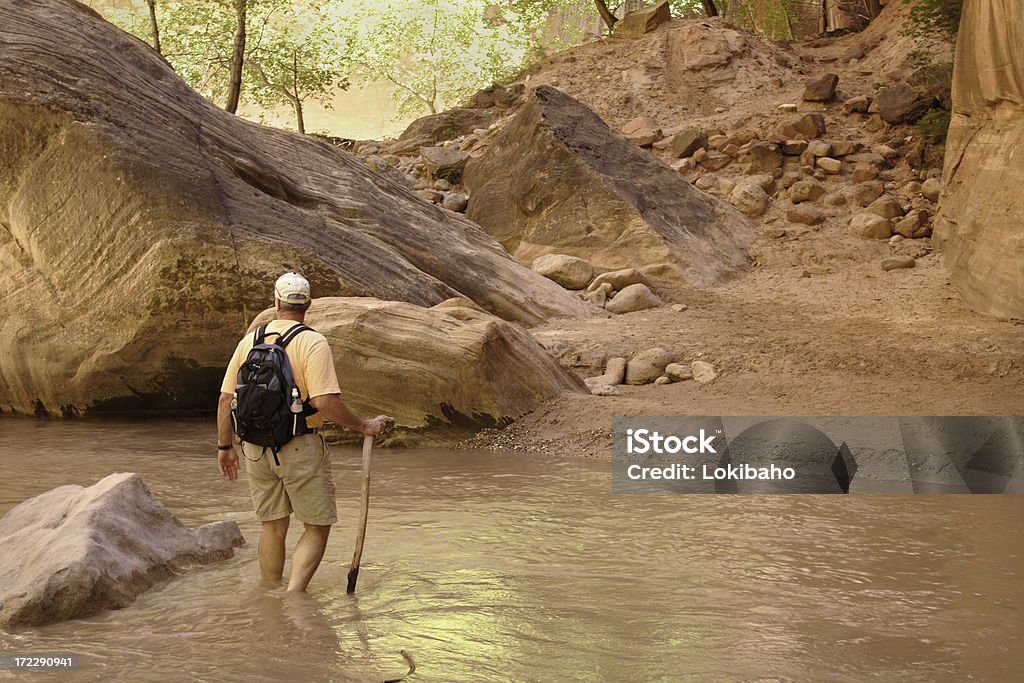 Hombre caminatas a River Crossing - Foto de stock de Estrechos de Zion libre de derechos