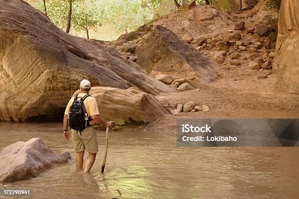 Hombre Caminatas A River Crossing Foto de stock y más banco de imágenes de Estrechos de Zion - Estrechos de Zion, Excursionismo, Parque Nacional Zion
