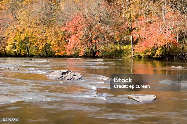 Foto de Outono e mais fotos de stock de Amarelo - Amarelo, Appalachia, Beleza natural - Natureza