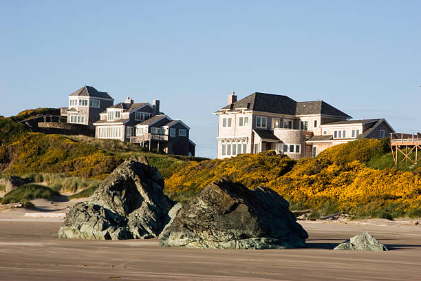 istock Luxury Homes on the Beach 172292430