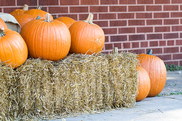 istock Pumpkins for Sale 172292498