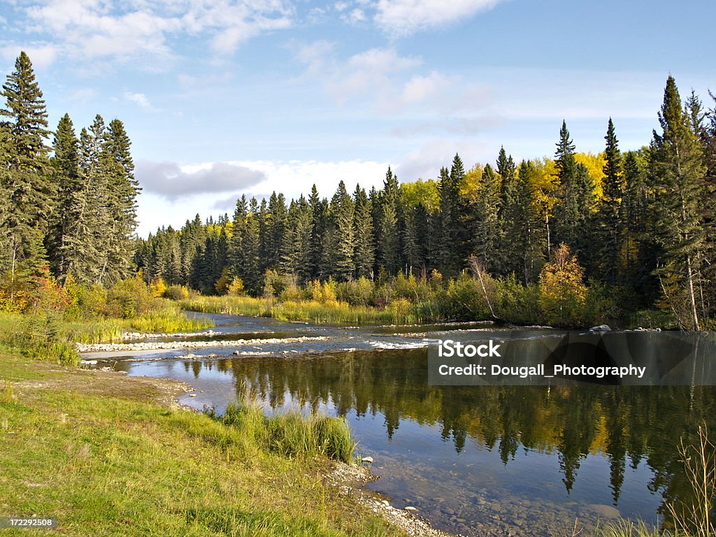 Norte do rio na Floresta Boreal - Foto de stock de Floresta boreal royalty-free