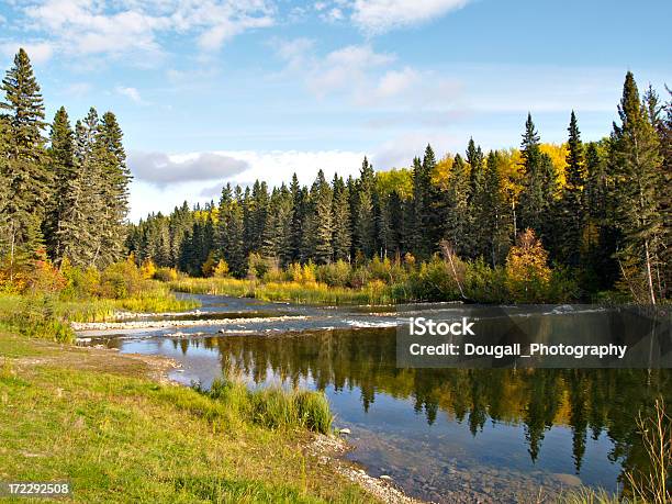 Foto de Norte Do Rio Na Floresta Boreal e mais fotos de stock de Floresta boreal - Floresta boreal, Saskatchewan, Norte