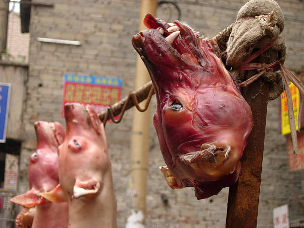 Dog Meat stock photo