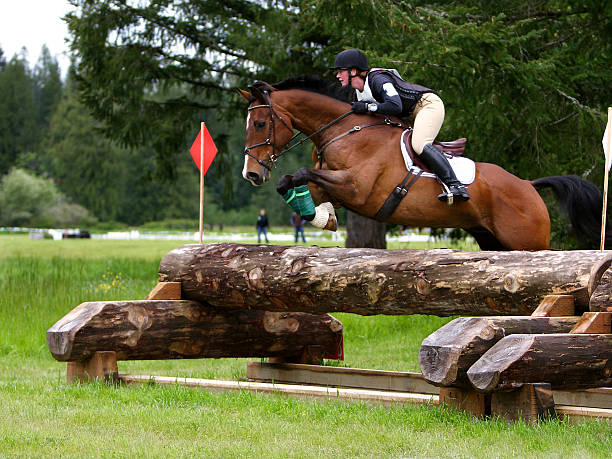 High Level Cross Country