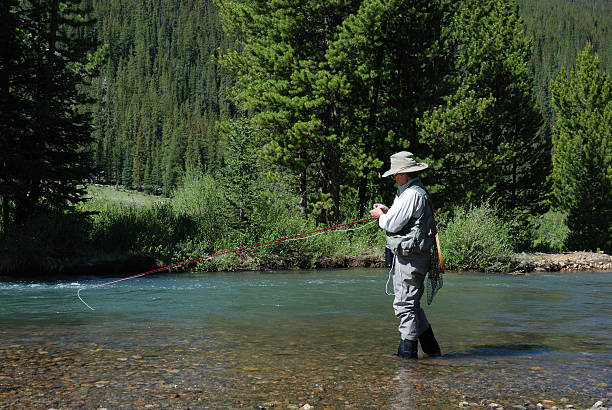 istock Woman Fly Fishing 5 172292889