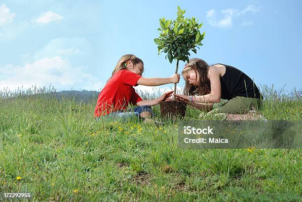 Foto de Vamos Começar Com A Árvore e mais fotos de stock de Plantar - Plantar, Árvore, Criança