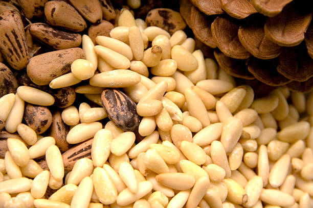 pignons de pin - pine nut photos et images de collection