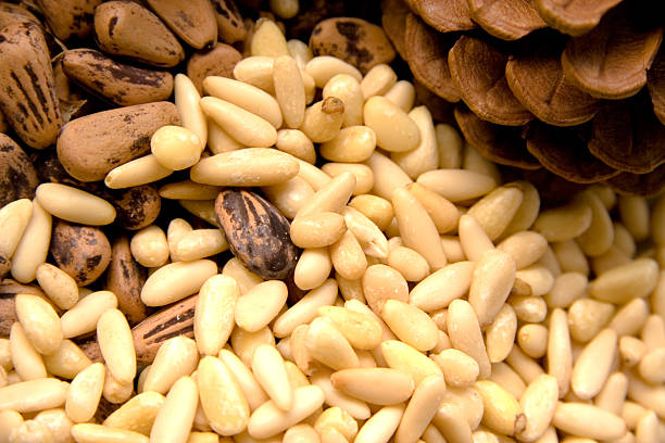 pinoli - pine nut seed image horizontal foto e immagini stock